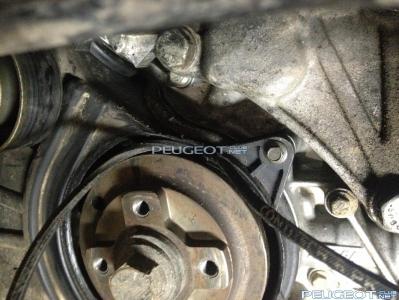 [Peugeot-Club.net] - фото 2.JPG