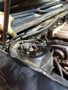 [Peugeot-Club.net] - IMG_2504.JPG