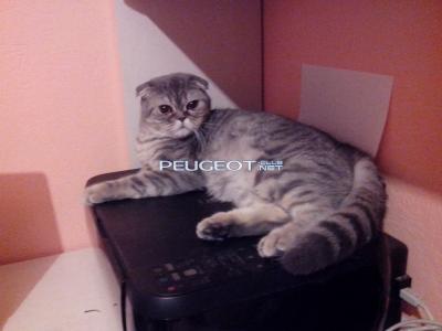 [Peugeot-Club.net] - IMG_20140318_202413.jpg