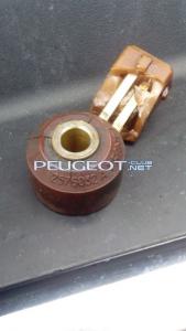 [Peugeot-Club.net] - IMG_20150308_144809.jpg