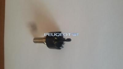 [Peugeot-Club.net] - 20150327_133906.jpg