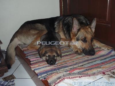 мама и триша.JPG