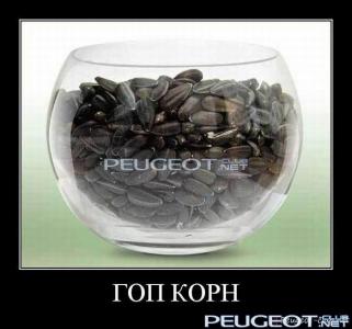 peugeot-lab.net - demotivator-047.jpg