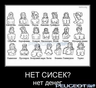 peugeot-lab.net - demotivator096.jpg