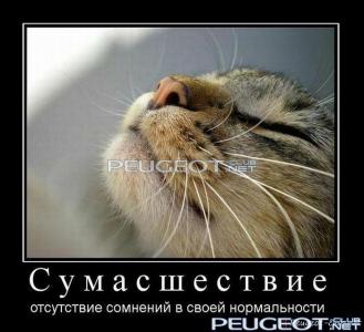 peugeot-lab.net - demotivator093.jpg