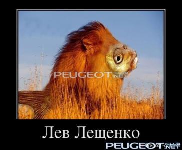 peugeot-lab.net - demotivator-0041.jpg