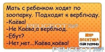 peugeot-lab.net - x_e9fb0b44.jpg