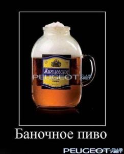 peugeot-lab.net - demotivator-0030.jpg