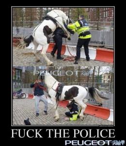 peugeot-lab.net - 1001.jpg