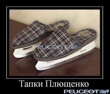 peugeot-lab.net - demotivator092.jpg