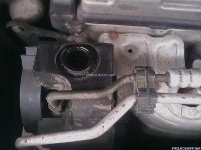 peugeot-lab.net - IMAGE_193.jpg