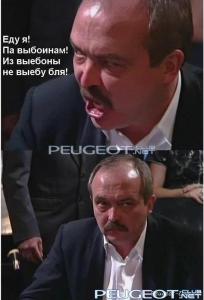 peugeot-lab.net - 3.jpg