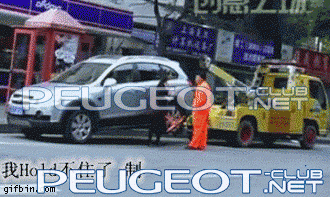 peugeot-lab.net - a8db66a51e9111e6bb207125484.gif