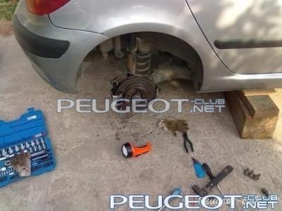 peugeot-lab.net - 88ce190face543cf-main.jpg