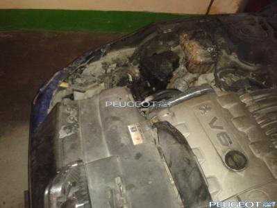 [Peugeot-Club.net] - 20130416_080649.jpg