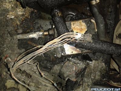 [Peugeot-Club.net] - 20130416_080919.jpg