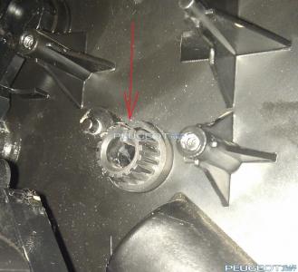 [Peugeot-Club.net] - right.jpg