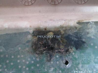 [Peugeot-Club.net] - ЭБУ 004.jpg