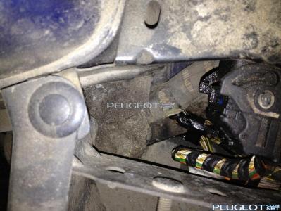 [Peugeot-Club.net] - IMG_0362.JPG