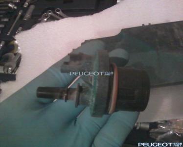 [Peugeot-Club.net] - Фото-0026.jpg