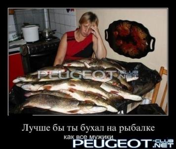 [Peugeot-Club.net] - dmtmp_img_1364306656_3910.jpg