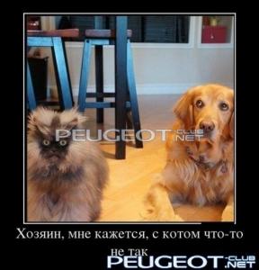 [Peugeot-Club.net] - dmtmp_img_1363875390_4981.jpg