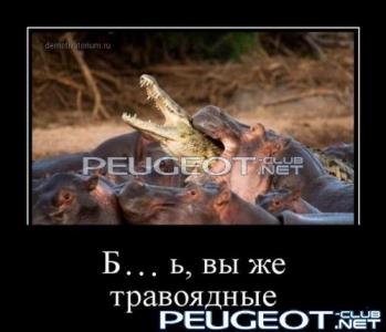 [Peugeot-Club.net] - dmtmp_img_1363875018_2627.jpg