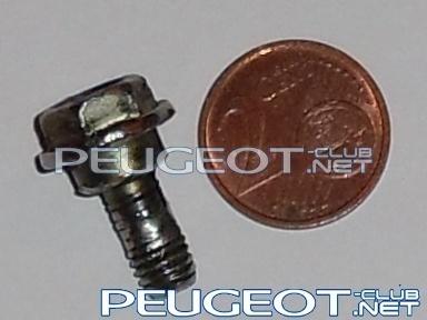 [Peugeot-Club.net] - SAM_3151.JPG