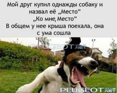 [Peugeot-Club.net] - cpXBCnTmfkA.jpg