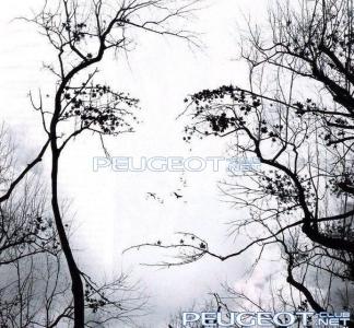 [Peugeot-Club.net] - 8Vx6XpkHQV8.jpg