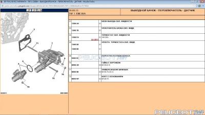 [Peugeot-Club.net] - Термостат.jpg