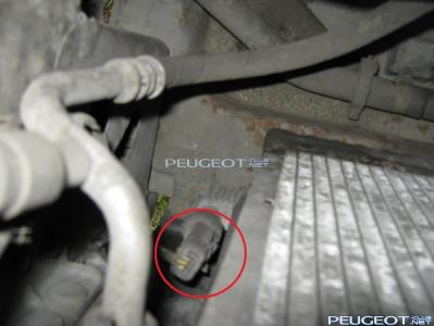 [Peugeot-Club.net] - IMG_3907n.jpg