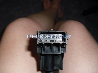 [Peugeot-Club.net] - CIMG1490.JPG