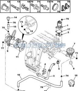 [Peugeot-Club.net] - sai 307.jpg