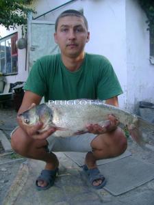 [Peugeot-Club.net] - DSC02060.JPG