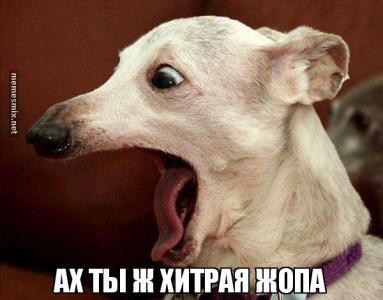 Ах ты....jpg