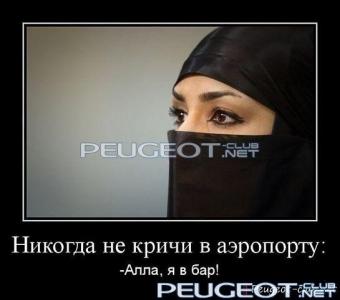 peugeot-lab.net - getImage.jpeg