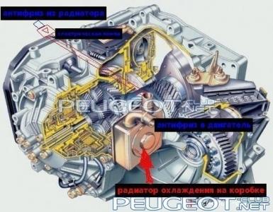 peugeot-lab.net - radiatior korobki.jpg