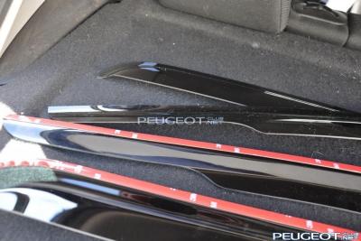 [Peugeot-Club.net] - DSC_0676.jpg