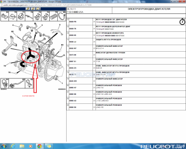 [Peugeot-Club.net] - Проводка движка.png