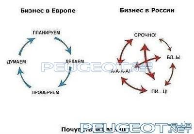 [Peugeot-Club.net] - бизнесс.jpg