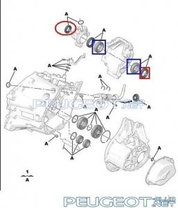 [Peugeot-Club.net] - qwer1.JPG