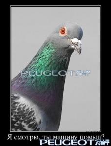 [Peugeot-Club.net] - x_a1f2eee8.jpg