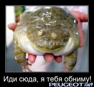 [Peugeot-Club.net] - zhaba_zavist_1.jpg