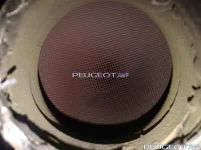 [Peugeot-Club.net] - Фото-0316.jpg