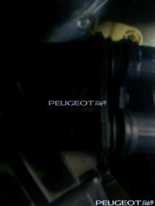 [Peugeot-Club.net] - Фото0246.jpg