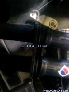 [Peugeot-Club.net] - Фото0245.jpg