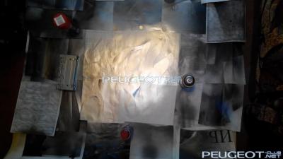 [Peugeot-Club.net] - IMG_20140508_200609.jpg