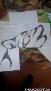 [Peugeot-Club.net] - IMG_20140508_183105.jpg