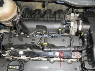 [Peugeot-Club.net] - SAM_4114.JPG